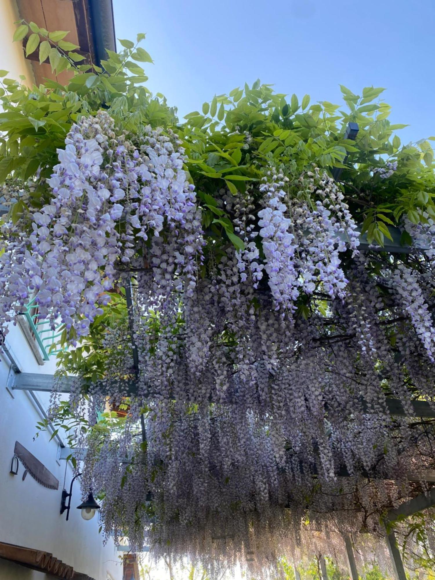 Gasthaus La Locanda Del Tevere Fiano Romano Exterior foto