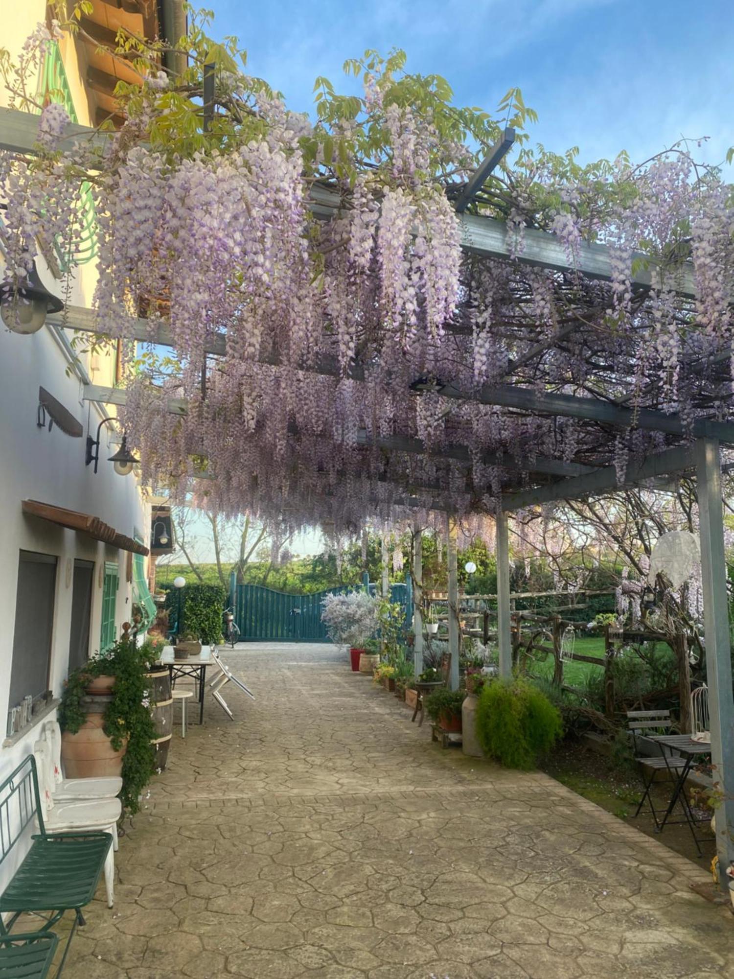 Gasthaus La Locanda Del Tevere Fiano Romano Exterior foto