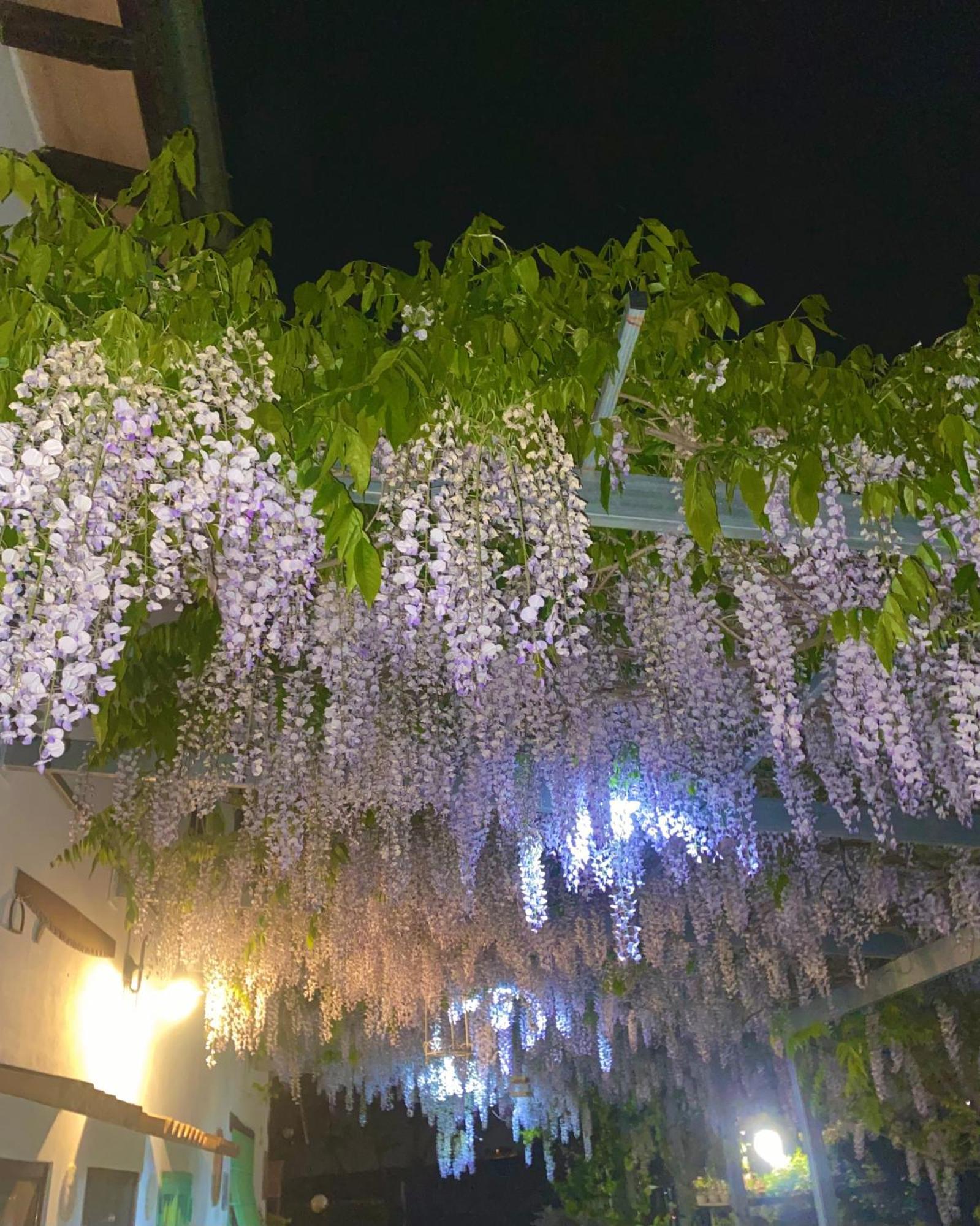 Gasthaus La Locanda Del Tevere Fiano Romano Exterior foto