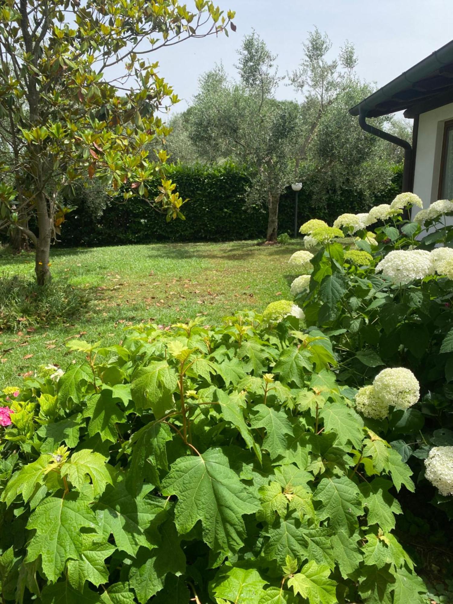 Gasthaus La Locanda Del Tevere Fiano Romano Exterior foto